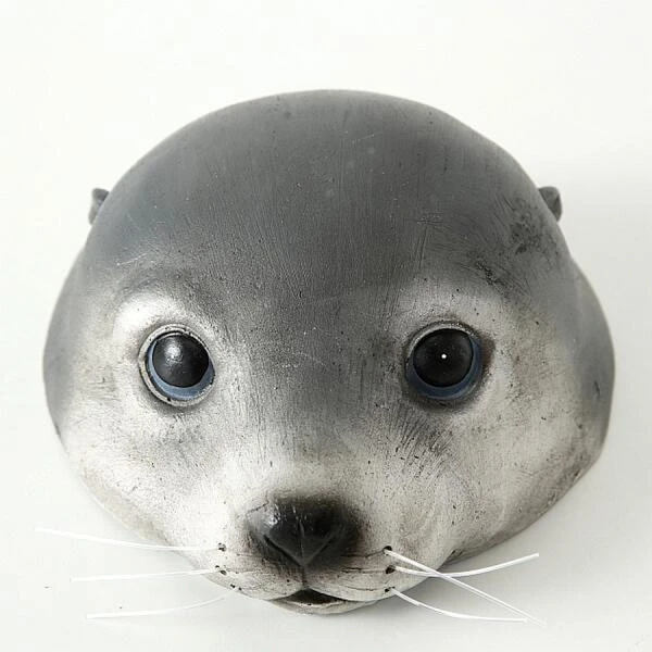 Zeehond Zwemmend Als Vijverdeco 3 Zeehond Zwemmend Als Vijverdeco