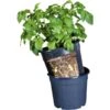 ESSCHERT DESIGN Aardappelpot - PotatoPot - 12 Liter -Tuin Outfitters Winkel 1579855338 1 600
