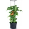 Tomaten Kweekpot Met Groeisteun - 12 Liter 2 Tomaten Kweekpot Met Groeisteun - 12 Liter -Tuin Outfitters Winkel 1649410567 1 600