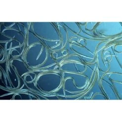 Aquanemix 1.25 V - Doseersproeier Voor Aaltjes -Tuin Outfitters Winkel auquanemix 125 v doseersproeier 1497858309 1 600