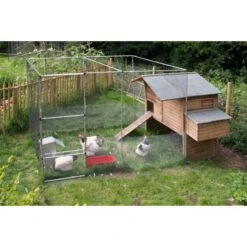 Buis Voor Fruitkooi/beschermkooi - 122 Cm Aluminium 9 Buis Voor Fruitkooi/beschermkooi - 122 Cm Aluminium -Tuin Outfitters Winkel buis fruitkooi 122 cm aluminium 1517231624 3 600