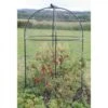 Fruitkooi Rond 1.5 M Hoog -Tuin Outfitters Winkel fruitkooi rond 1484056625 1 600