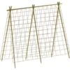 Groeinet Bonen En Erwten 1,8 × 1,8 M -Tuin Outfitters Winkel groeinet bonen 18 x 18 m 1531226378 2 600