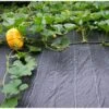 Gronddoek 2 M × 5 M (90 G/m²) -Tuin Outfitters Winkel gronddoek 2 m x 5 m 100gm 1553159982 1 600