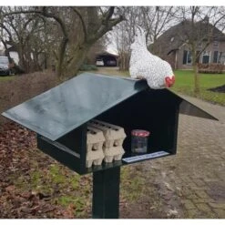 Nieuwsgierige Kip Tuinbeeld -Tuin Outfitters Winkel nieuwsgierige kip 1609930328 1 600