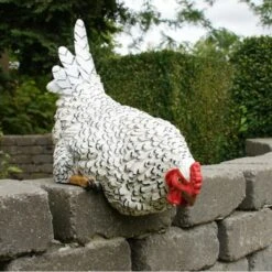 Nieuwsgierige Kip Tuinbeeld -Tuin Outfitters Winkel nieuwsgierige tafelkip 1568377839 3 600