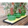 Plant- En Gietpot Groen - Set Van 3 Stuks -Tuin Outfitters Winkel plant en gietpot 1484054799 1 600