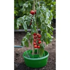Plant- En Gietpot Groen - Set Van 3 Stuks 11 Plant- En Gietpot Groen - Set Van 3 Stuks -Tuin Outfitters Winkel plant en gietpot 1484054799 4 600