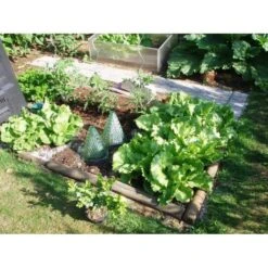 Plantenhoed - Zonnehoed - Set Van 10 Stuks 10 Plantenhoed - Zonnehoed - Set Van 10 Stuks -Tuin Outfitters Winkel plantenhoed 1484053252 4 600