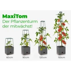 Plantentoren Maxitom Met Waterreservoir - Antraciet -Tuin Outfitters Winkel plantentoren maxitom antraciet 1677571236 4 600