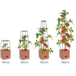 Plantentoren Maxitom Met Waterreservoir - Terracotta -Tuin Outfitters Winkel plantentoren maxitom terracotta 1680165024 1 600