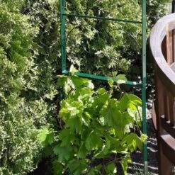 Rozenboog Massief Met Klimhulp 150 × 40 × 230 Cm -Tuin Outfitters Winkel rozenboog massief klimhulp 150 x 40 x 230 cm 1559385625 1 600