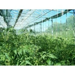 Tomatenkoorden - Tomatentouwen 220 Cm - Set Van 100 Stuks -Tuin Outfitters Winkel tomatenkoorden 1484055064 2 600