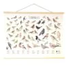 Wanddoek Tuinvogels -Tuin Outfitters Winkel wandkaart tuinvogels 1541511363 1 600