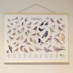 Wanddoek Tuinvogels -Tuin Outfitters Winkel wandkaart tuinvogels 1541600712 1 600