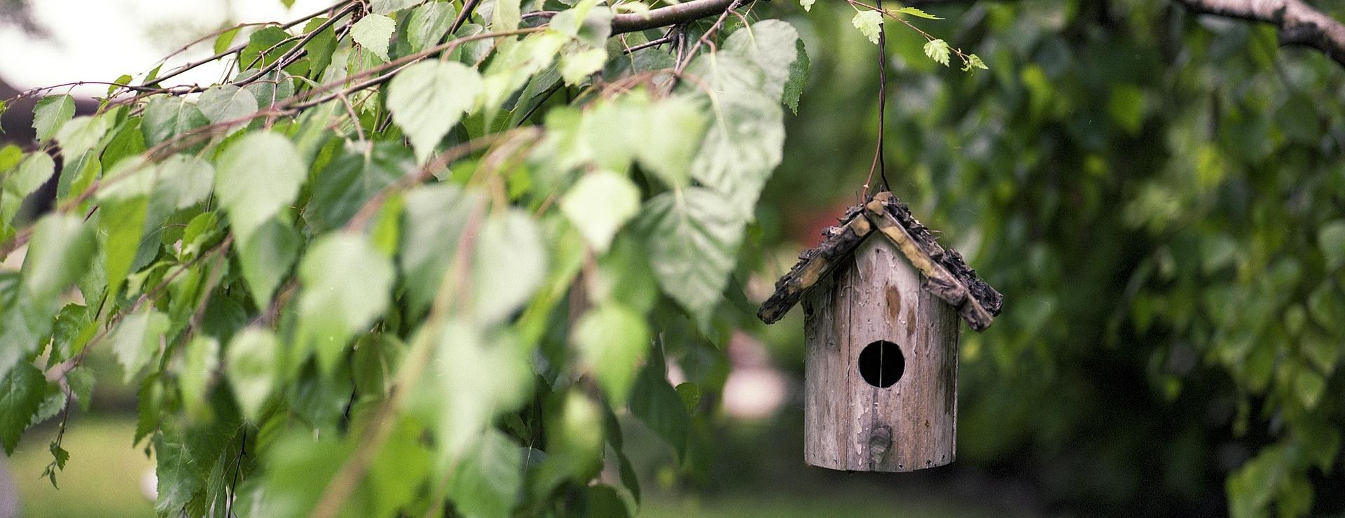 Tuin Outfitters Winkel 1 Tuin Outfitters Winkel -Tuin Outfitters Winkel bird feeder 2344414 1920